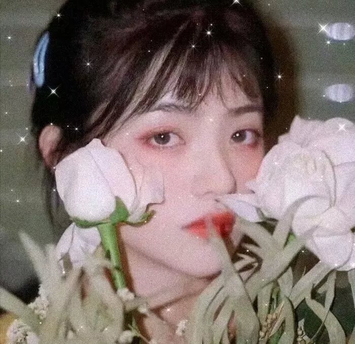 红色密令 在线观看